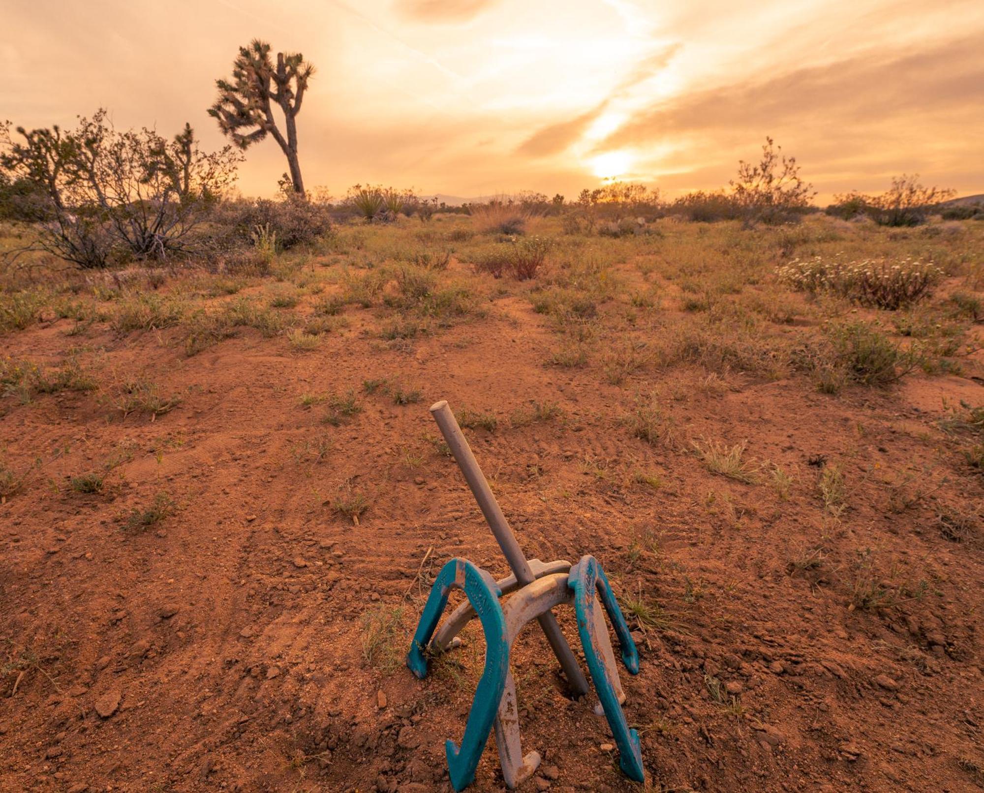 Coyote Tracks - A Modern Desert Experience Villa โจชัวทรี ภายนอก รูปภาพ